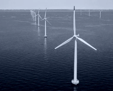 Wind blade repair application
